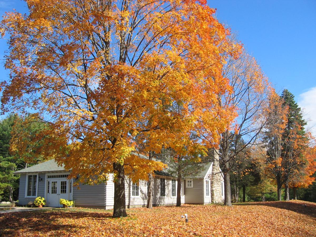 Tuxbury Pond Camping Resort Tiny House Clara South Hampton Exterior photo